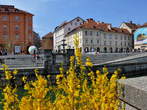 Novi trg (New Square) - Ljubljana - Novi trg Square 
