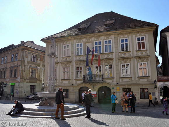 Sticna Manor on Stari trg