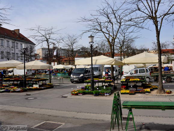 Vodnikov trg - Central Market