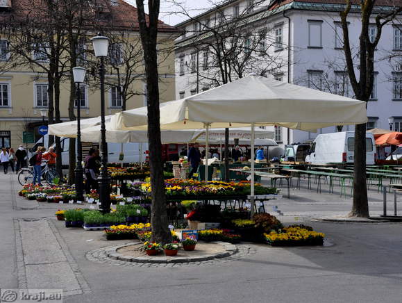 Central Market - Flowers
