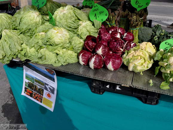 Vegetables (chicory, cauliflower, spinach, etc.)