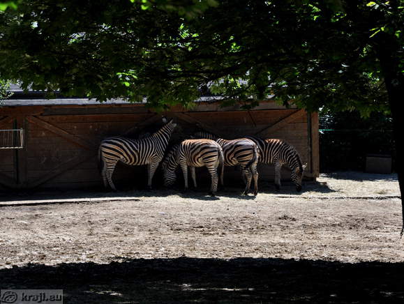 Ljubljana - Zivalski vrt (Zoo)