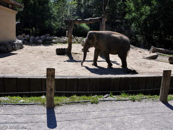 Ljubljana - Zivalski vrt (Zoo)