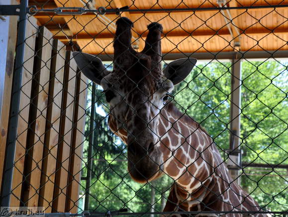 Ljubljana - Zivalski vrt (Zoo)