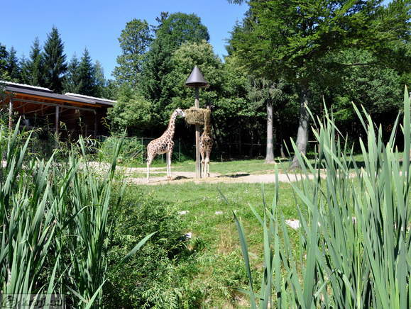 Ljubljana - Zivalski vrt (Zoo)