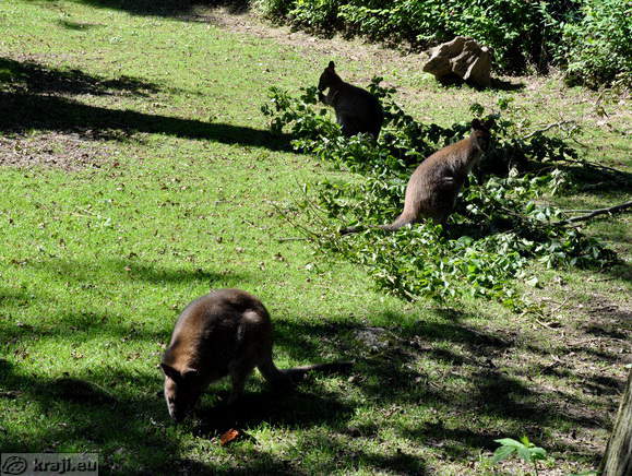 Ljubljana - Zivalski vrt (Zoo)
