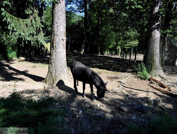 Ljubljana - Zivalski vrt (Zoo)