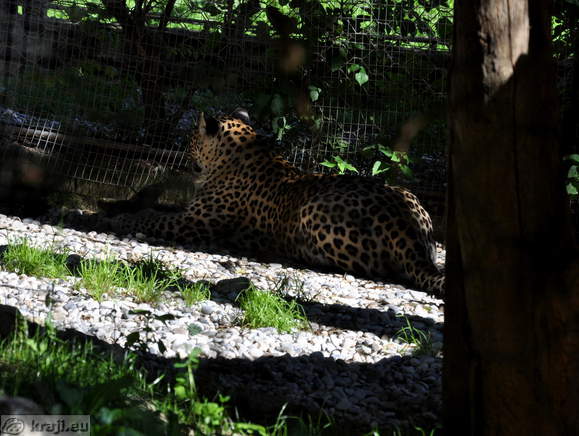 Ljubljana - Zivalski vrt (Zoo)