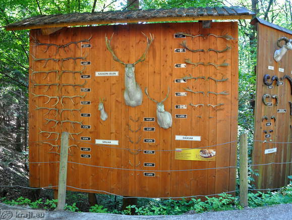 Ljubljana - Zivalski vrt (Zoo)