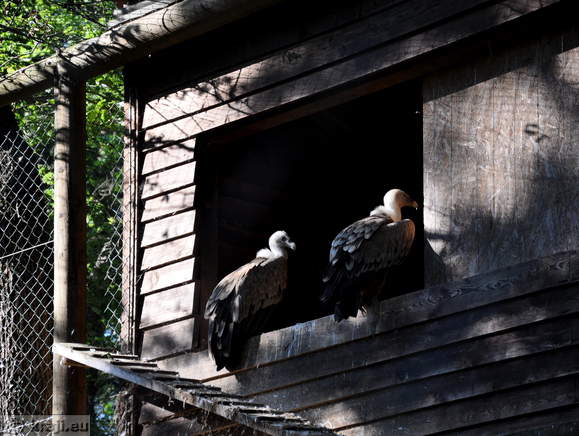 Ljubljana - Zivalski vrt (Zoo)