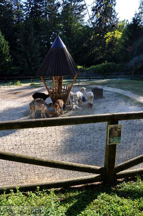 Ljubljana - Zivalski vrt (Zoo)