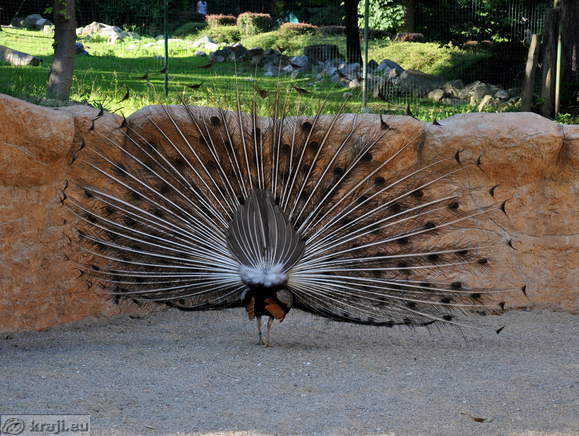 Ljubljana - Zivalski vrt (Zoo)