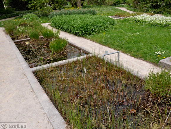 Ecological groups - marshland, bog