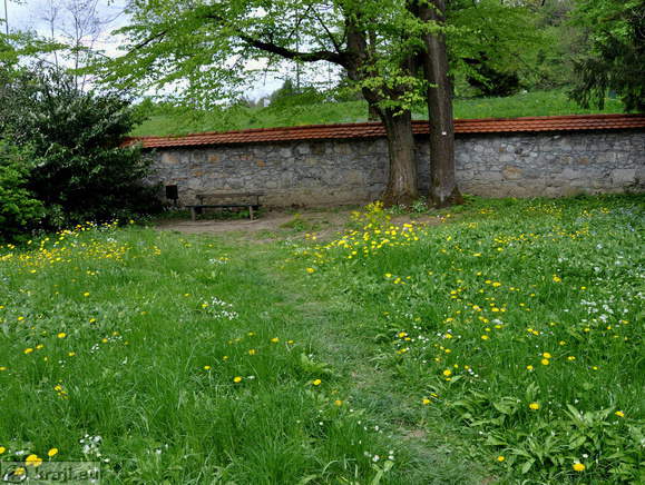Walls at the borders of the Botanical Garden