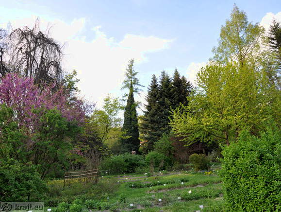 Botanical Garden - Plant system