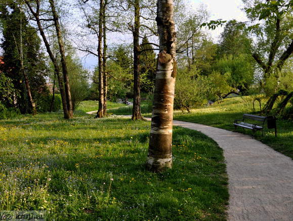 Botanical Garden in Ljubljana