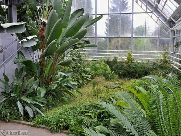 Experience of the tropical climate in Ljubljana