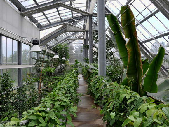 Tropical Glasshouse <br> Tropical Glasshouse in the upper part