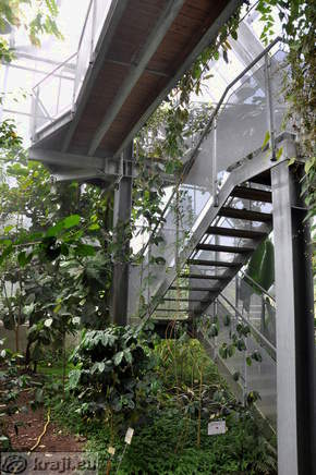 Stars down on the other side of the Tropical Glasshouse