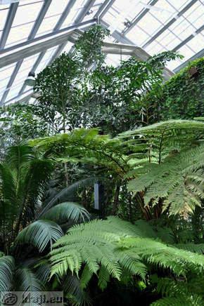 Tropical Glasshouse in Ljubljana