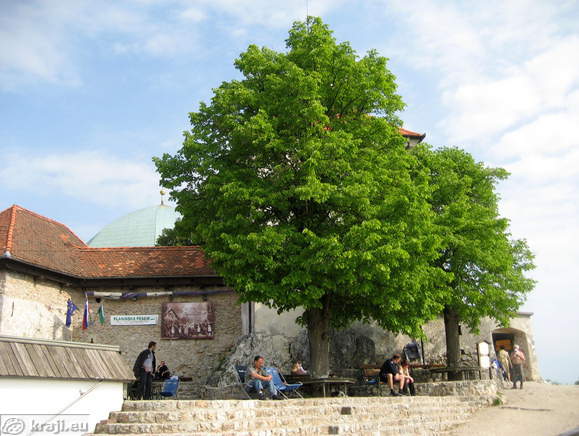 Smarna gora - An der Spitze