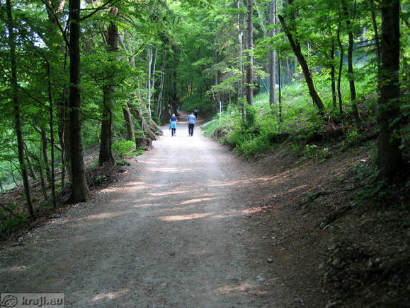 Road to the Smarna gora Hill