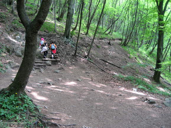 Smarna gora Hill - Path from Tacen