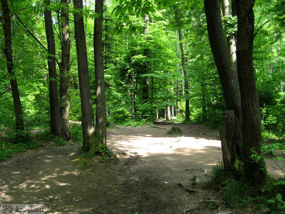 Path over lower kitchen