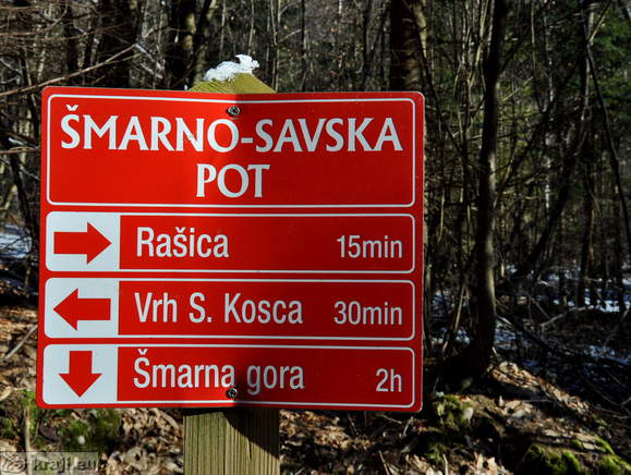 Vrh Staneta Kosca - Rasica