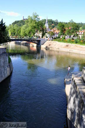 Ribič pri izlivu Gradaščice v Ljubljanico