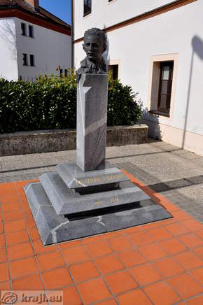 Kip - Dr. Andrej Gosar