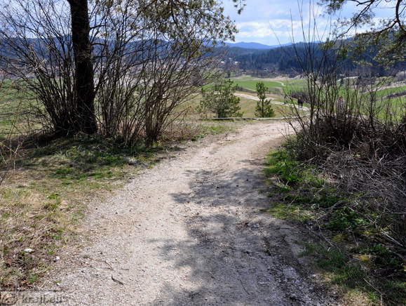 View back on the macadamized road
