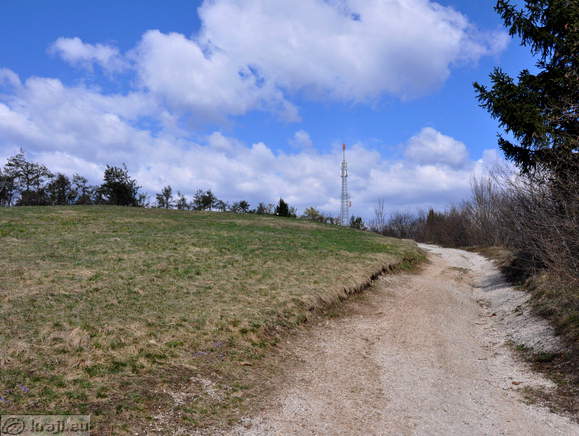 Last part of the path