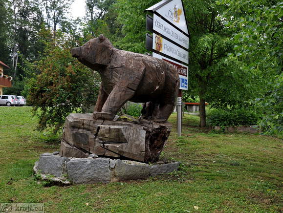 Bear