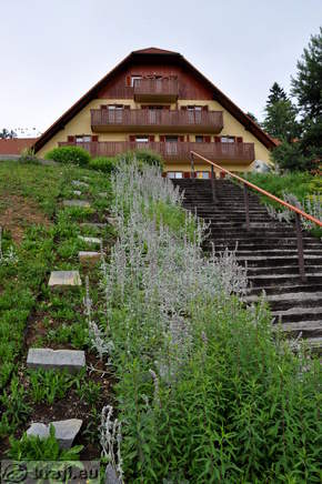 Stairs to Beekeeping Centre of Slovenia