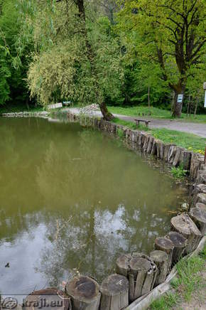 Pond II bank