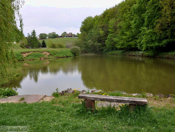 Bench at pond I