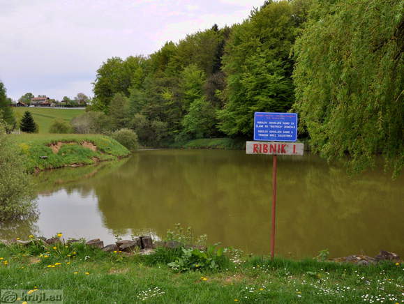 Pond I