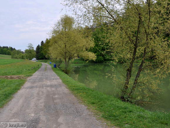 Road along the pond