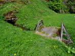 Park - Schloss Jablje - Park 