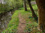 Park - Schloss Jablje - Park 