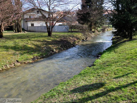 Brook in Menges