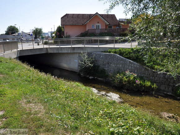 Bridge over the Psata Creek