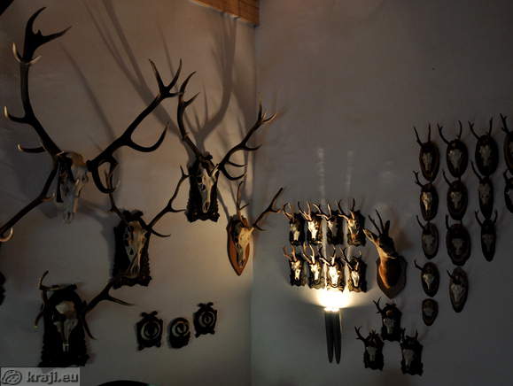 Soba z lovskimi trofejami