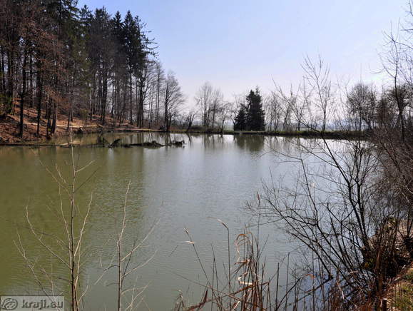 Pond at Kriz village
