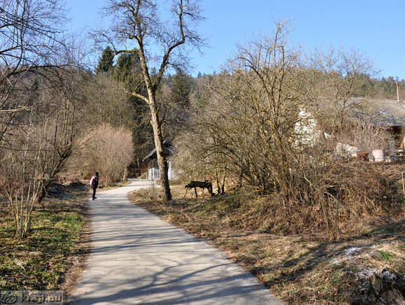 Path to the Church of Saint Giles from Repnje