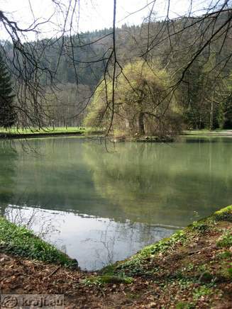 Pond in the park in Bistra