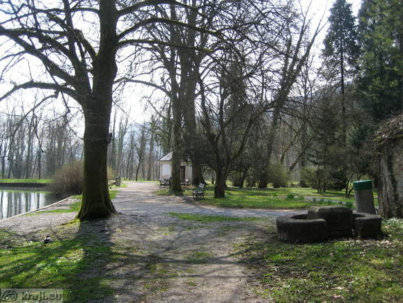 West side of the pond