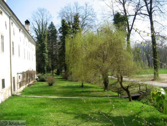 Trees on the south side of charterhouse