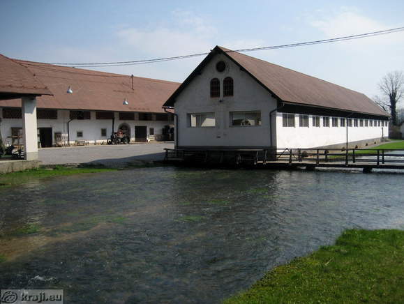 Brook Bistra near charterhouse
